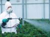 alimente cu pesticide