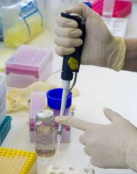 bacterie inghetata