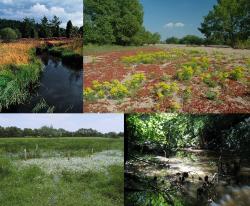 resurse naturale