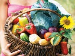 cos cu legume ecologice