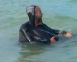 delfin esuat