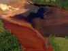 dezastr ecologic