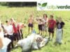 ecologizare la musetesti