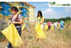 ecologizare