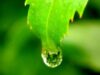 Conferinta Nationala "Need 4 Green Economy" - Economia verde in Romania