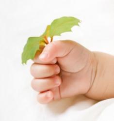 organic-baby-283×300.jpg