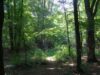 parc-trivale.JPG parc-trivale.JPG