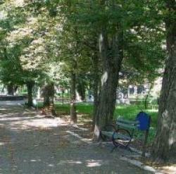 parcuri.jpg