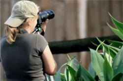 ecopaparazzi
