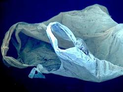 punga de plastic