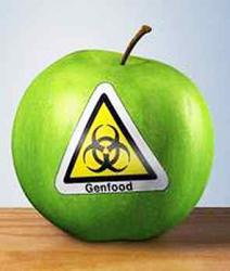 alimente modificate genetic