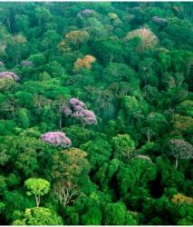 biodiversitate