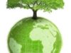 Cu ce ne ajuta produsele ecologice?
