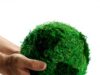 green-week.jpg