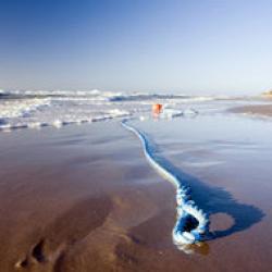 litoral curat