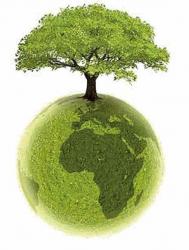 oras ecologic