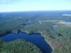 Rusia, padure boreala