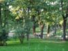 parc