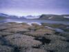 permafrost