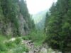 rezervatii naturale