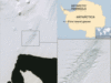 _46206116_pineisland_4661.gif
