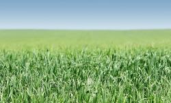 agricultori