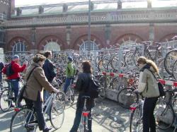 biciclete