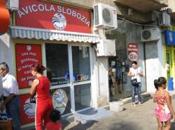 bomba ecologica