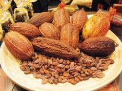 cacao