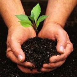 cover-gardening1.jpg