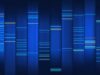 DNA