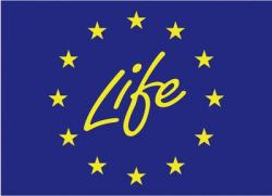 Life+