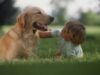 pets2.jpg pets2.jpg