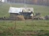 picture-334.jpg