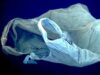 punga-plastic-descompusa.jpg punga-plastic-descompusa.jpg