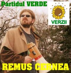 remus-cernea_3.jpg