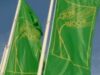 Saptamana verde
