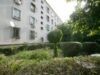 strada Bach