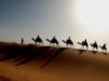 Africa Proiecte ecologice