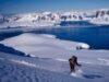 Antartica