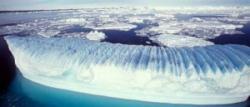 antartica