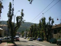 castanii din Piatra Neamt