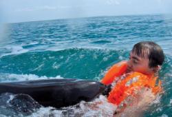 delfin
