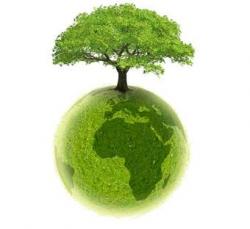 ecologie