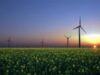 24 de companii austriece, specializate în energie regenerabilă, vor sonda piaţa din România