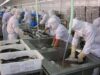 fish_processing_shangdong_credit_c_morrison_2786191.jpg