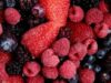 fructe-padure fructe-padure