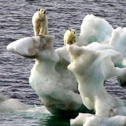 incalzirea globala