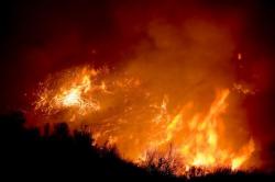 incendiu de vegetatie