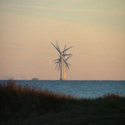 Insula vantului